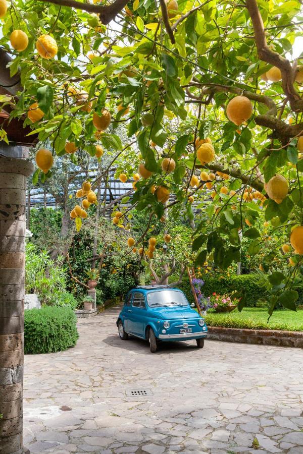 Villa Maresca B&B Piano di Sorrento Esterno foto