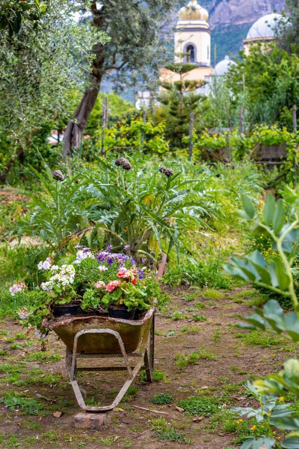 Villa Maresca B&B Piano di Sorrento Esterno foto