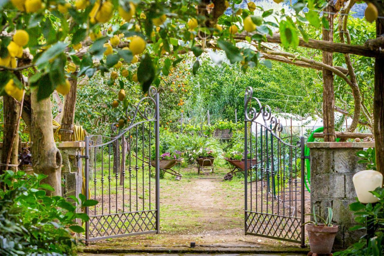 Villa Maresca B&B Piano di Sorrento Esterno foto