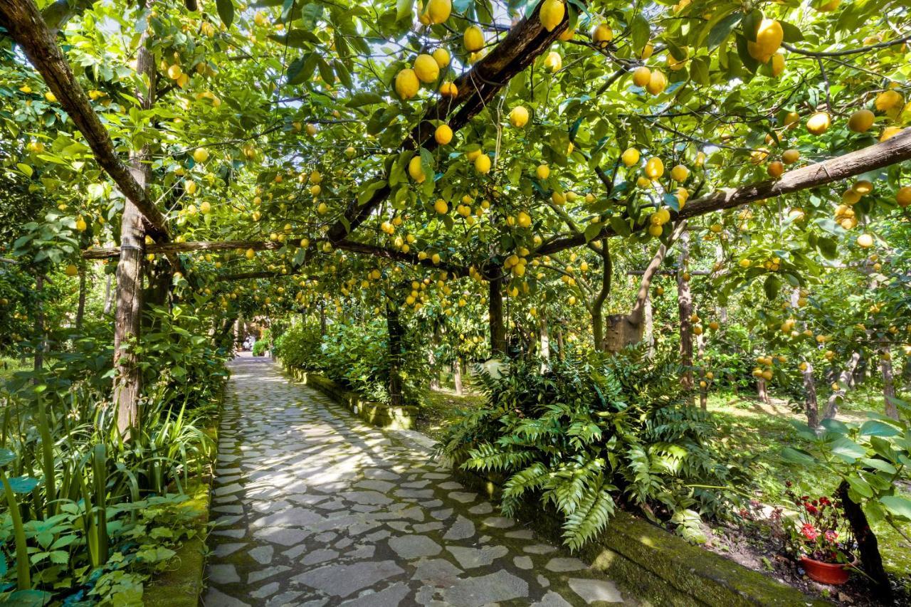 Villa Maresca B&B Piano di Sorrento Esterno foto
