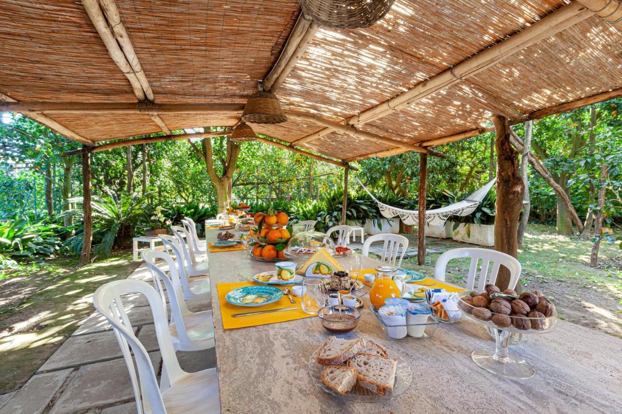Villa Maresca B&B Piano di Sorrento Esterno foto